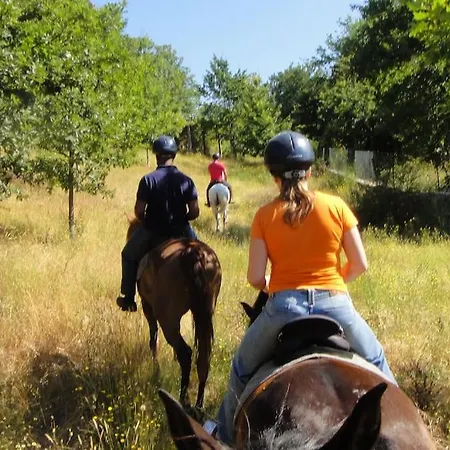 Gotogeres - Casa Do Lagar - Sobrenatura